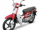 Honda EX Super Cub